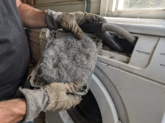 Cleaning Dryer Lint Trap in Green